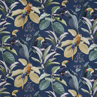 Parrot, Aruba - Fabric Only